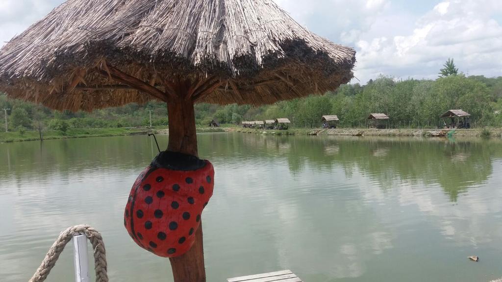 Pensiunea Dely_Cios Vălenii de Munte المظهر الخارجي الصورة